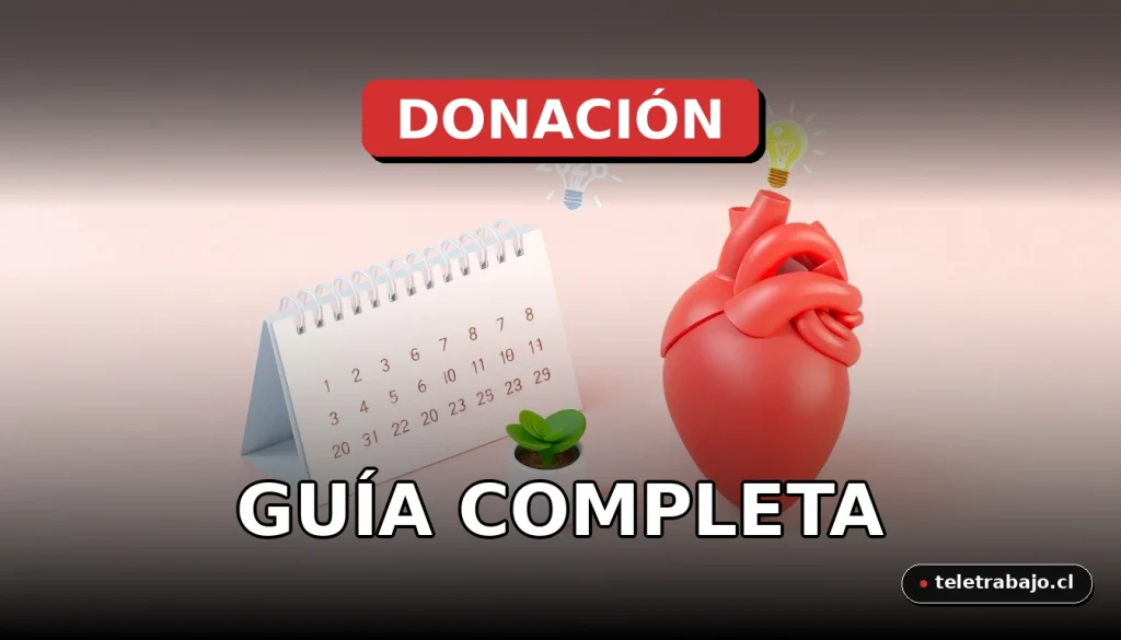 Guía completa sobre el permiso retribuido para donantes de órganos en 2026, concepto de solidaridad y ley laboral.